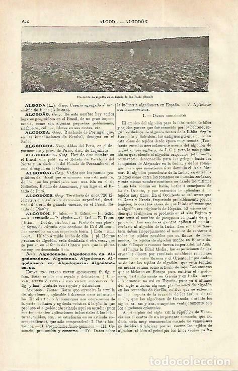 Postales: LAMINA ESPASA 33791: Plantacion de algod&oacute;n en Brasil - Varios