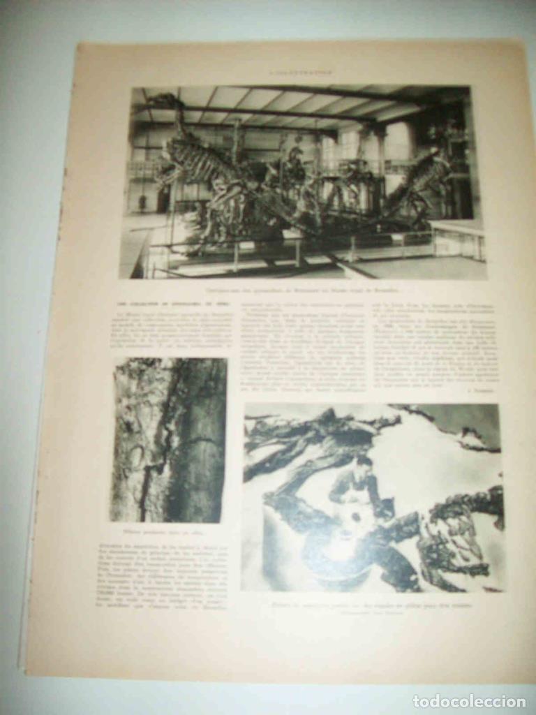 Cartes Postales: LAMINA 15046: Dinosaurios en el Museo de Bruselas - VVAA