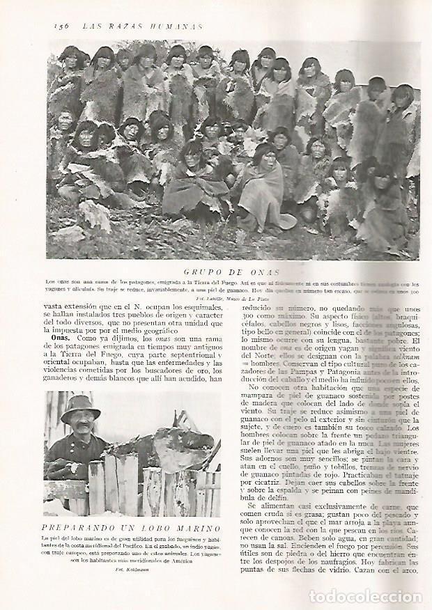 Postkarten: LAMINA 15628: Grupo de Onas - Director: Pedro Bosch Gimpera