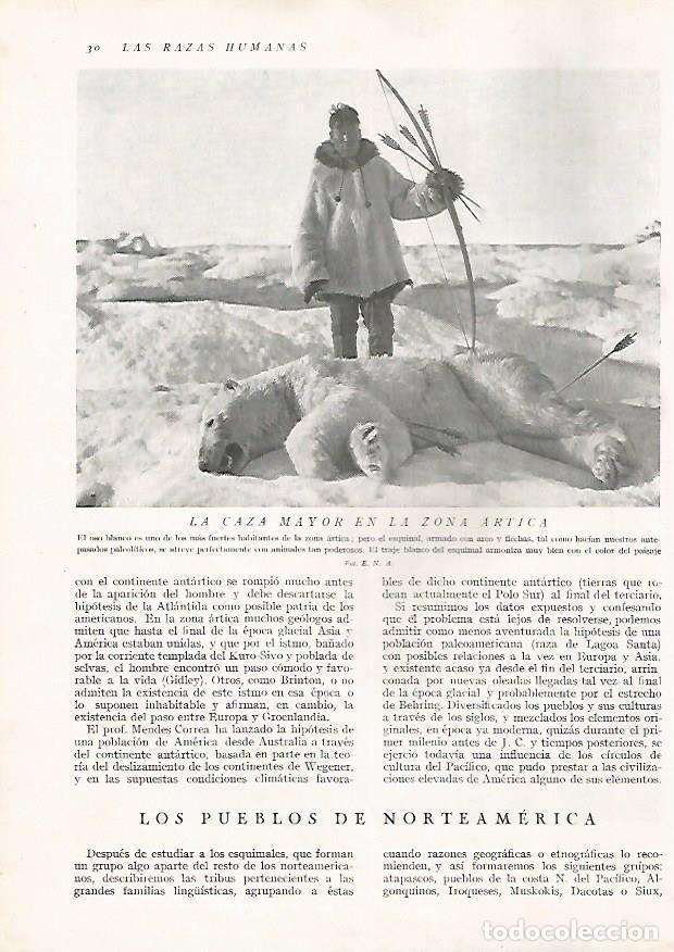 Postkarten: LAMINA 15556: Caza del oso blanco - Director: Pedro Bosch Gimpera