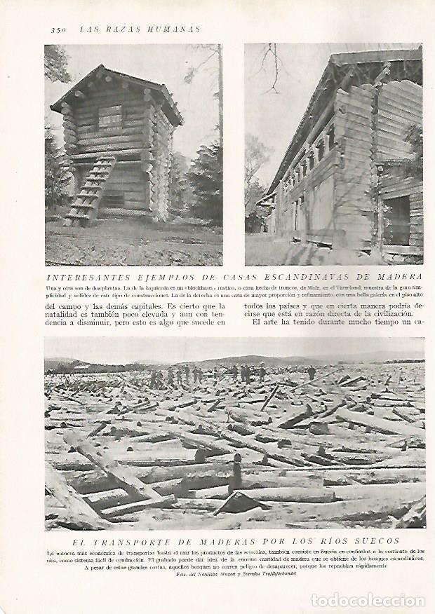 Cartoline: LAMINA 15745: Casas de Escandinavia - Director: Pedro Bosch Gimpera