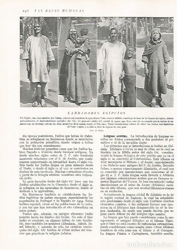 Cartoline: LAMINA 15718: Labradores de Egipto - Director: Pedro Bosch Gimpera