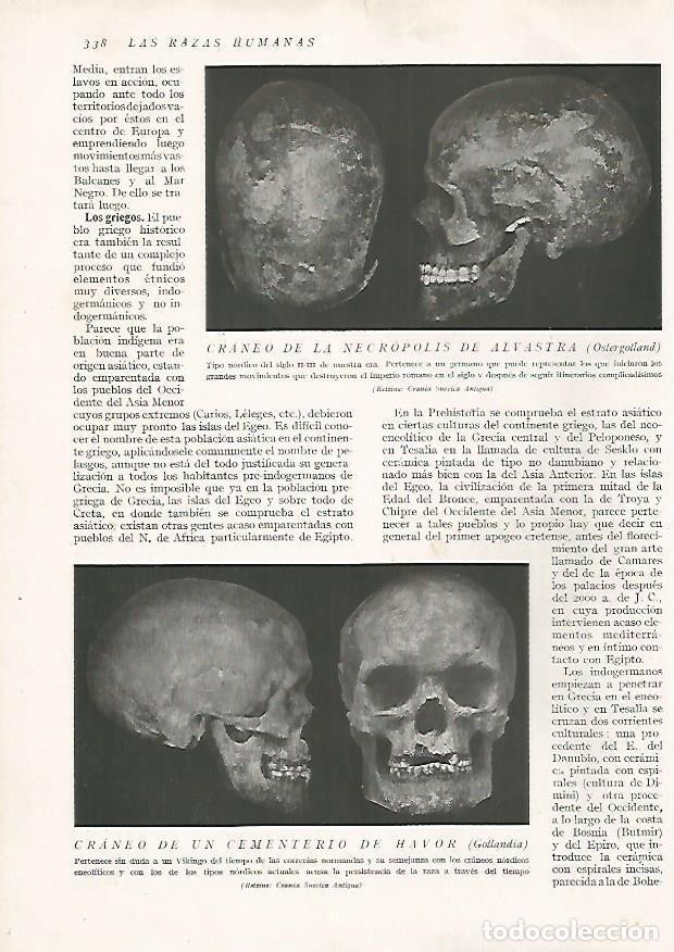Cartoline: LAMINA 15736: Craneo de Alvastra y de un cementerio de Havor - Director: Pedro Bosch Gimpera
