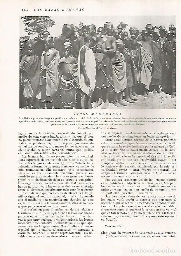 Postcards: LAMINA 15698: Miembros Makaranga - Director: Pedro Bosch Gimpera