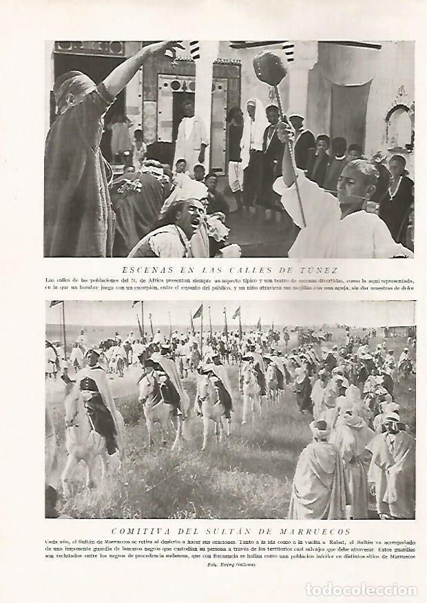 Postcards: LAMINA 15712: Calles de Tunez y comitiva del sultan de Marruecos - Director: Pedro Bosch Gimpera