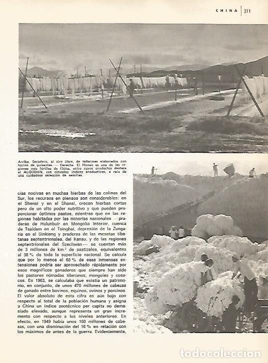 Postkarten: LAMINA 15448: Secadero de tallarines en China - Varios