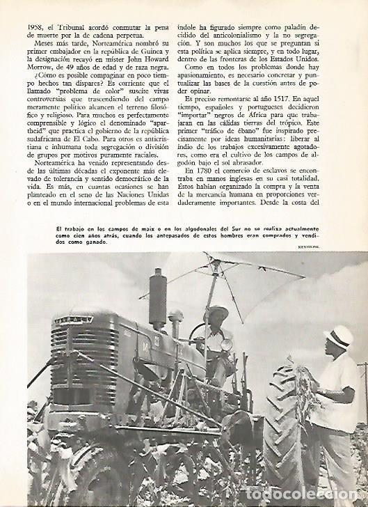 Postcards: LAMINA 16137: Trabajo en campos de maiz - Varios