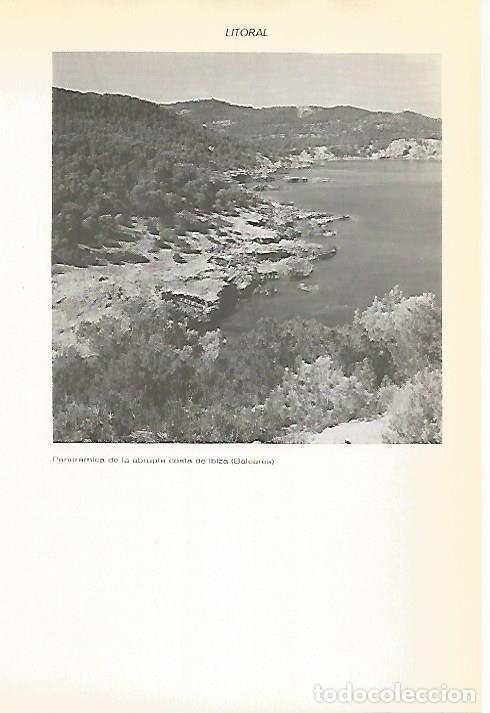 Cartes Postales: LAMINA VOX 16859: Costa de Ibiza - Varios