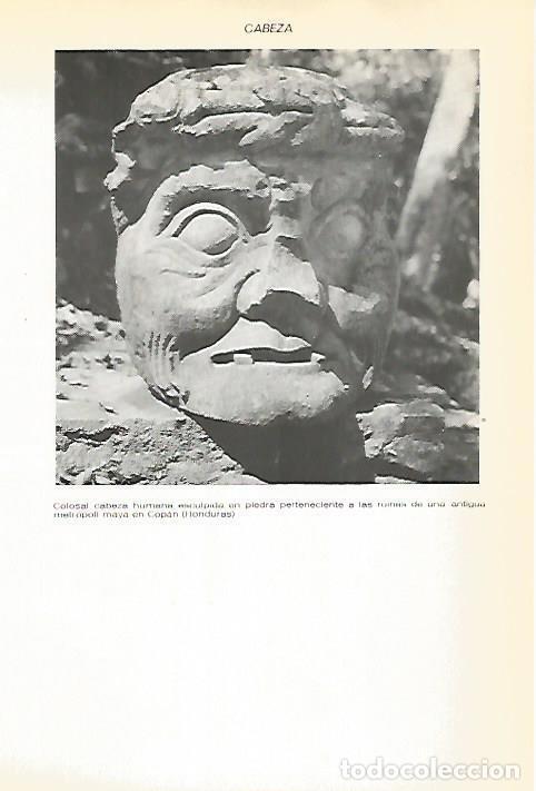 Postkarten: LAMINA VOX 16623: Cabeza maya en Copan, Honduras - Varios
