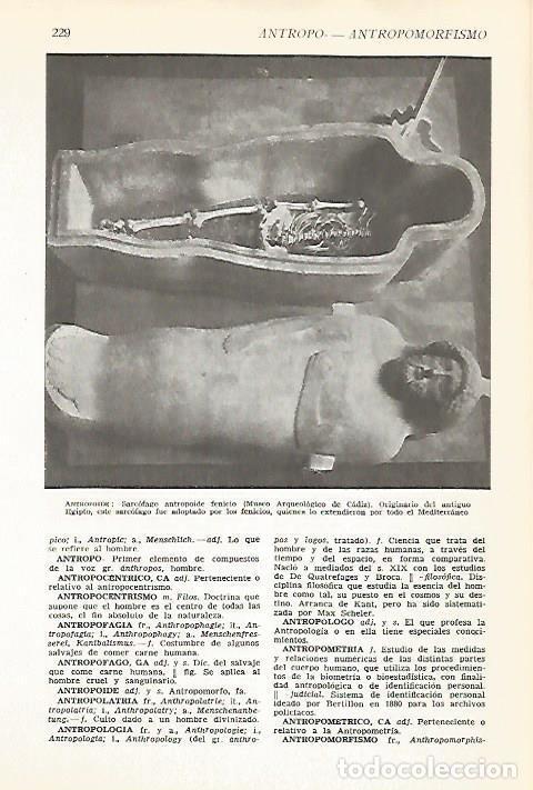 Postais: LAMINA VOX 16557: Sarcofago fenicio - Varios