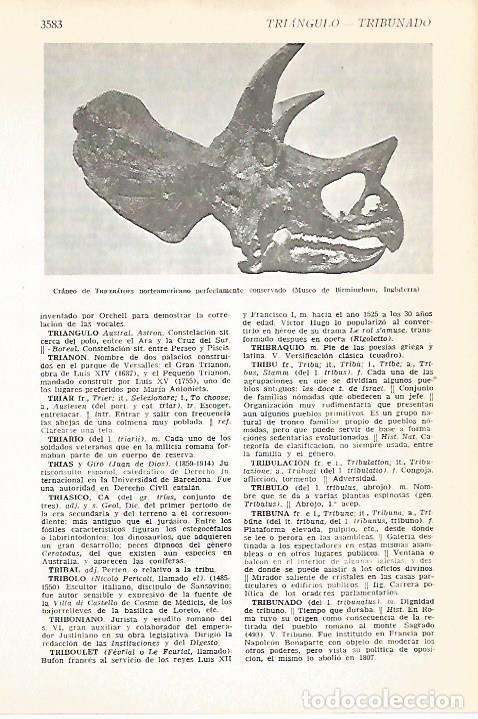 Postkarten: LAMINA VOX 16728: Craneo de Triceratops - Varios