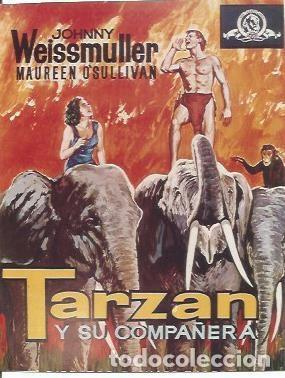 Postcards: POSTAL A1016: Tarzan y su compa&ntilde;era - NULL