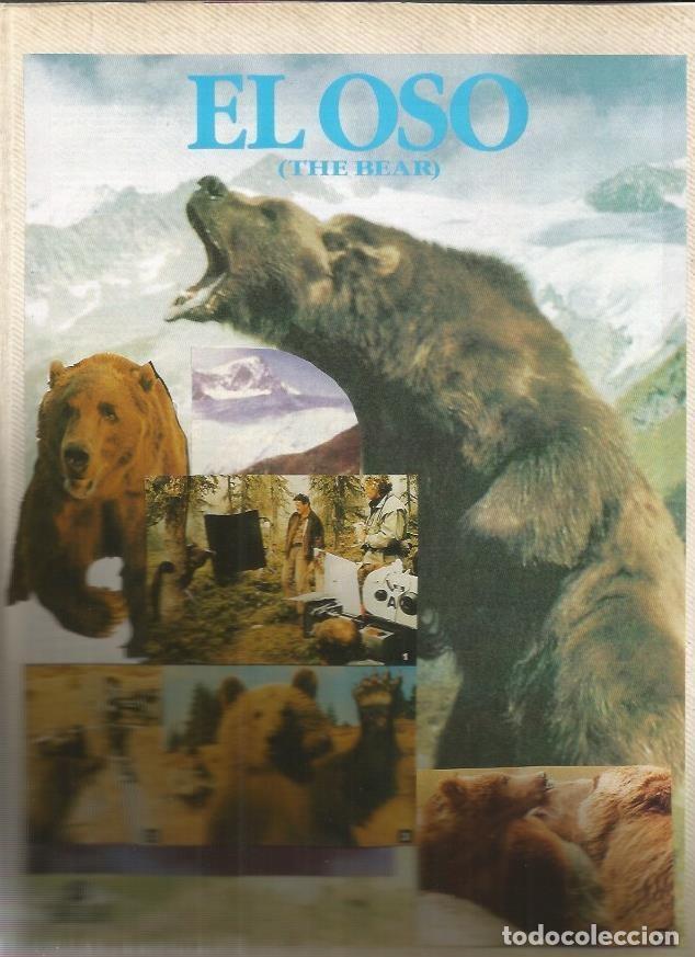 Postcards: LAMINA 18780: Fotograf&iacute;as de El oso - NULL