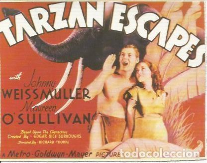 Postcards: POSTAL A0998: Tarzan Escapes - NULL