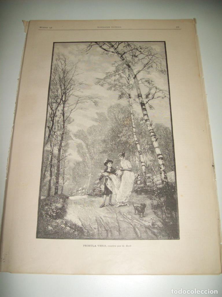 Postales: LAMINA ILUSTRACION ARTISTICA 19815: Primula Veris, por Hoff - Varios