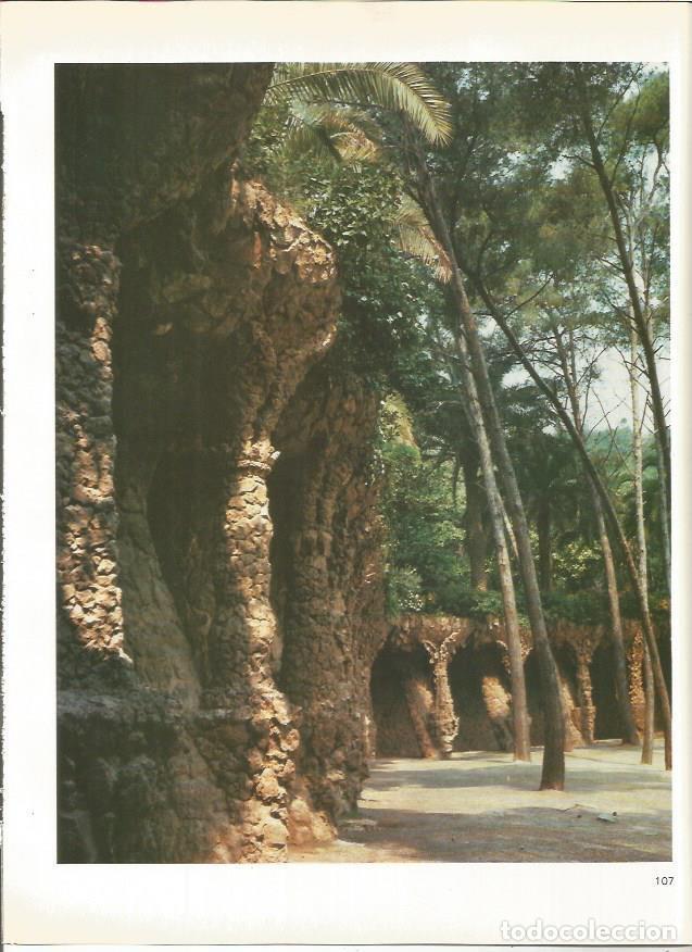 Cartoline: LAMINA 18956: Interior del Parque Guell - Joan Bassegoda