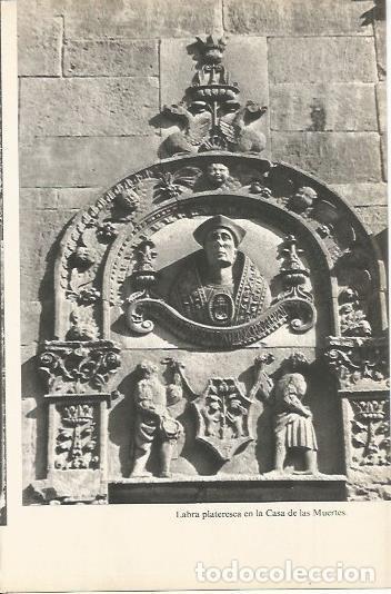 Cartoline: LAMINA 20487: Labra plateresca en la Casa de las Muertes - Julian Alvarez Villar