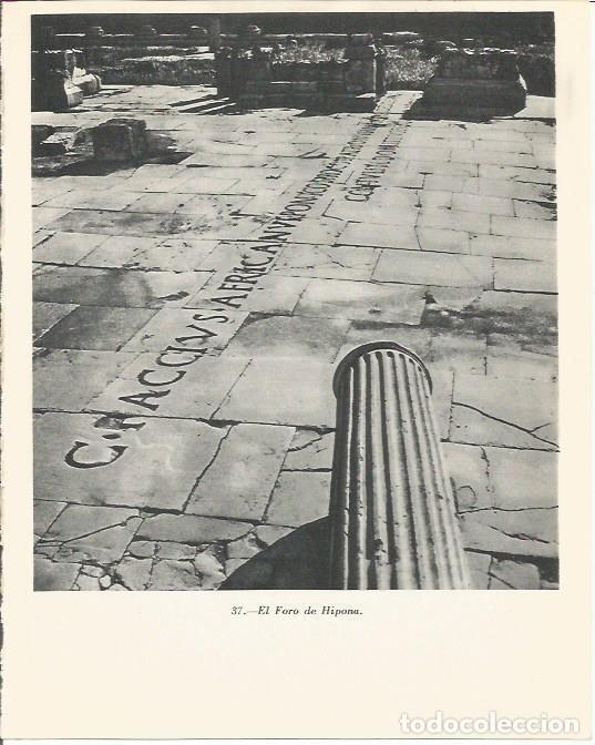 Postales: LAMINA 20850: EL Foro de Hipona - Maurice Crouzet