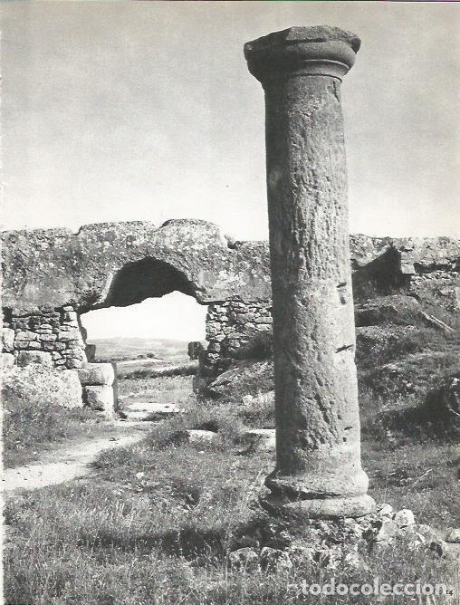 Postcards: LAMINA 20680: Ruinas de Empuries - Marcel Durliat