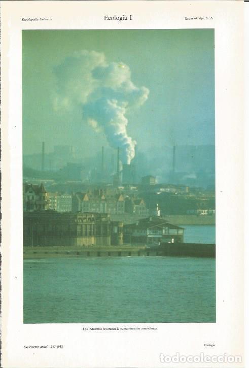 Postkarten: LAMINA ESPASA 35374: Chimeneas - Varios