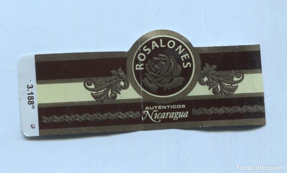 Postales: Vitola de Puro Rosalones autenticos Nicaragua - Varios
