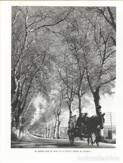 Postales: LAMINA 21690: Viaje en carro - Josep Pla