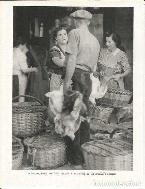 Cartoline: LAMINA 21592: Mercado de animales de Granollers - Josep Pla