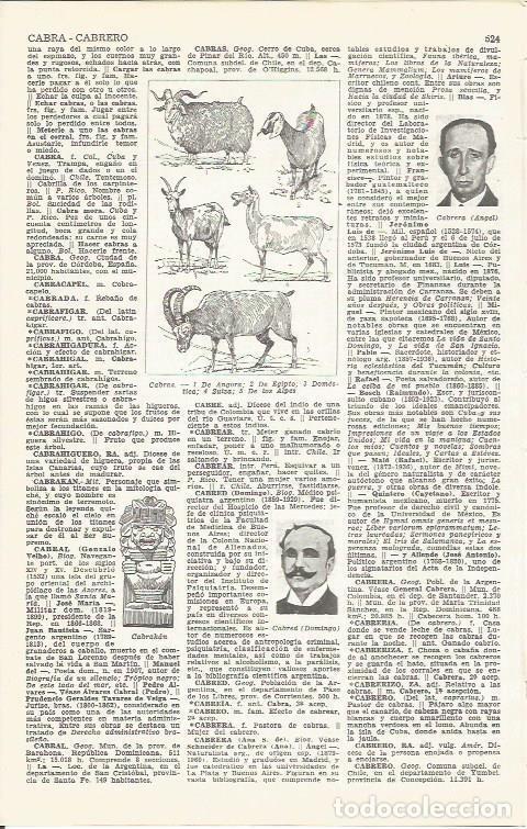 Cartoline: LAMINA 21430: Especies de cabras - VVAA