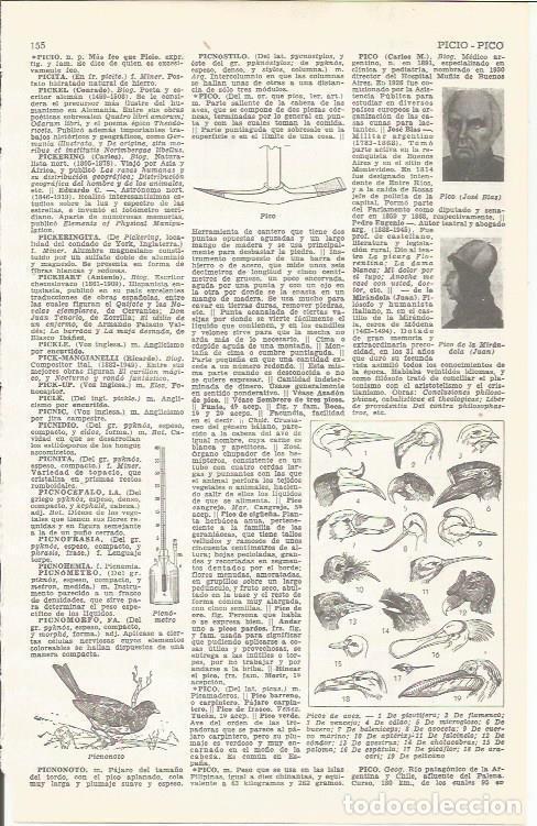 Postkarten: LAMINA 21475: Picos de aves - VVAA