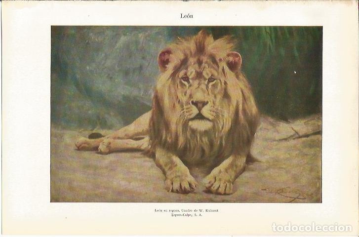 Cartes Postales: LAMINA 21177: Leon - VVAA