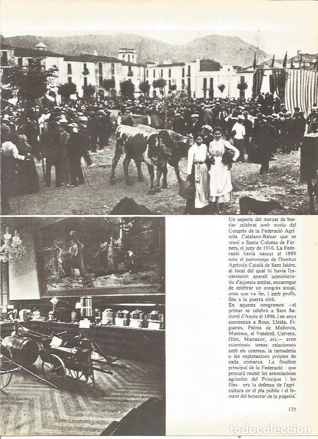 Cartoline: LAMINA 20724: Mercado de animales en Santa Coloma de Farners en 1916 - Edmon Valles