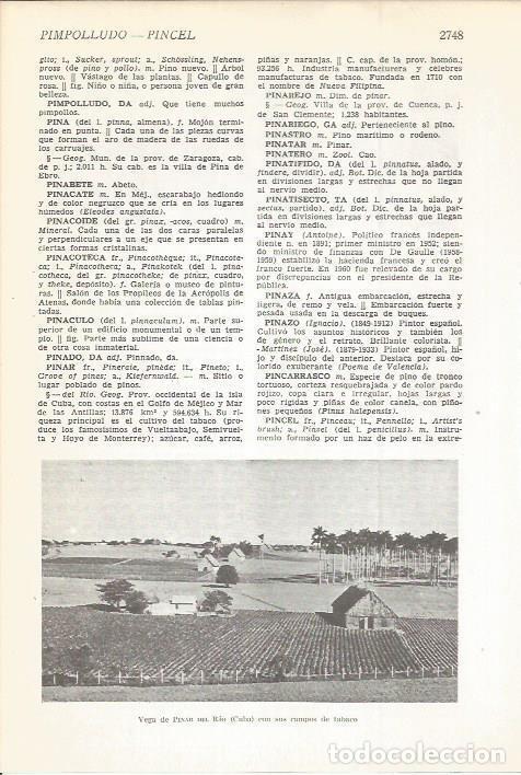 Cartes Postales: LAMINA 22529: Vega de Pinar del Rio, Cuba - VVAA