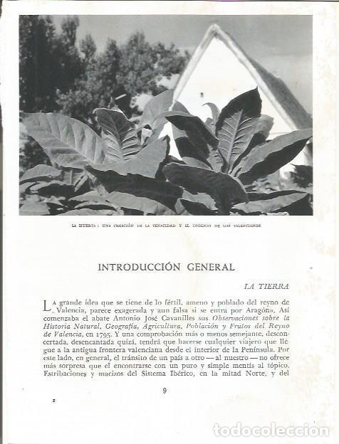Cartoline: LAMINA 21771: Barraca en la huerta de Valencia - Joan Fuster