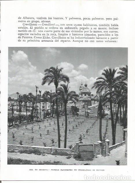 Postkarten: LAMINA 21986: Huerto y palmeras en Cox, Alicante - Joan Fuster