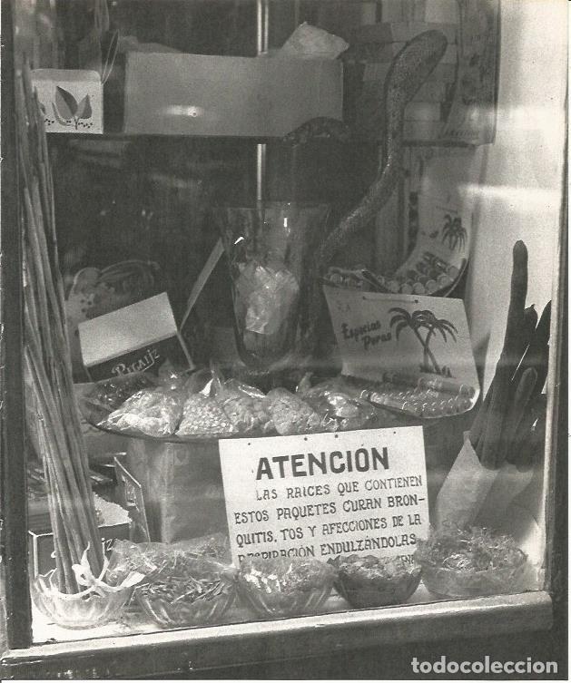 Cartoline: LAMINA 22004: Barcelona. Escaparate de herbolisteria - Josep Maria Espinas