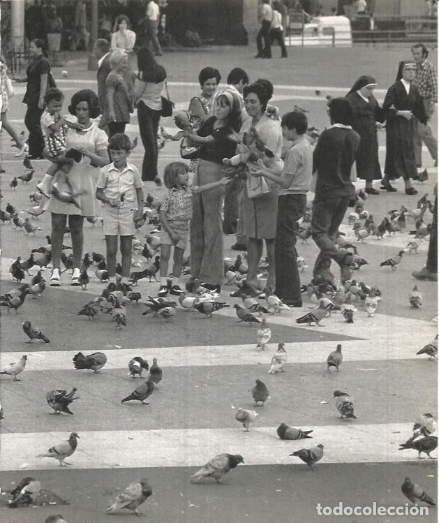 Postales: LAMINA 22098: Barcelona. Palomas en plaza Catalunya - Josep Maria Espinas