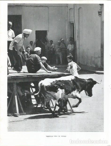 Postcards: LAMINA 21808: Vaquillas en un pueblo - Joan Fuster