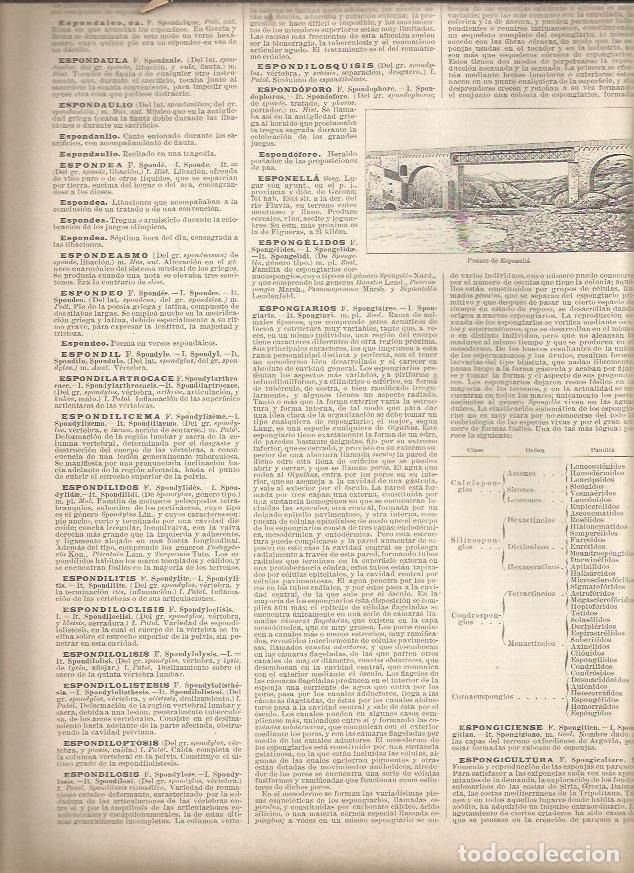 Postais: LAMINA 23296: Puente de Esponella - Varios