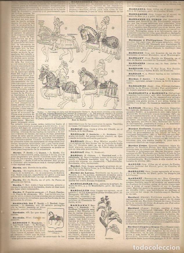 Cartoline: LAMINA 22982: Tipos de barda - Varios