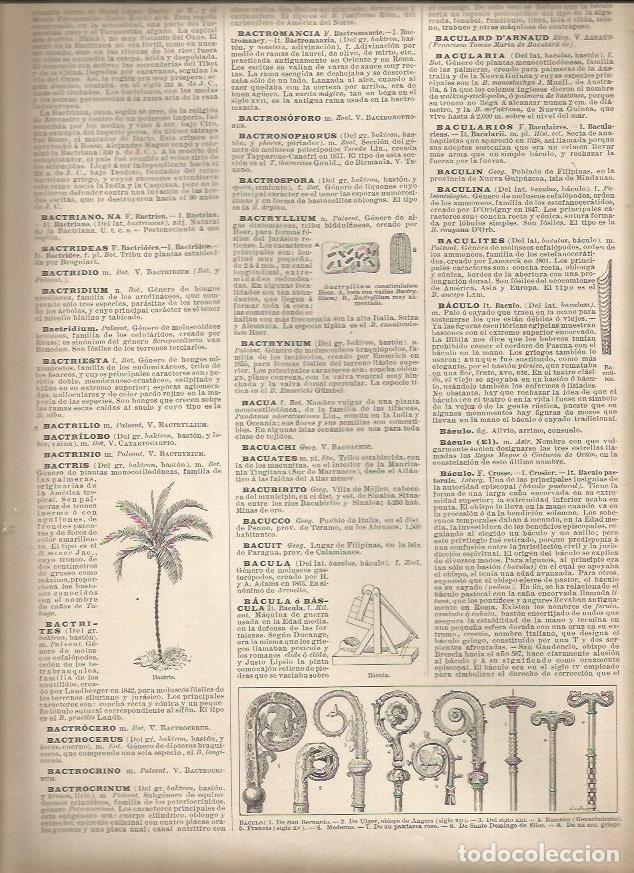 Cartoline: LAMINA 23008: Tipos de baculo - Varios