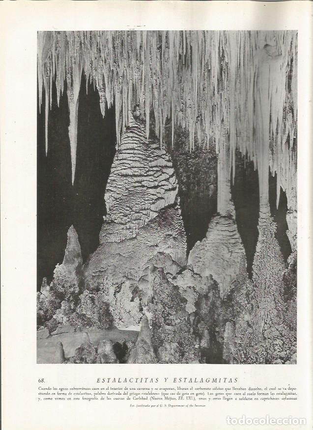 Cartoline: LAMINA 22769: Cuevas de Carlsbad, Estados Unidos - Amando Melon y Ruiz de Gordejuela