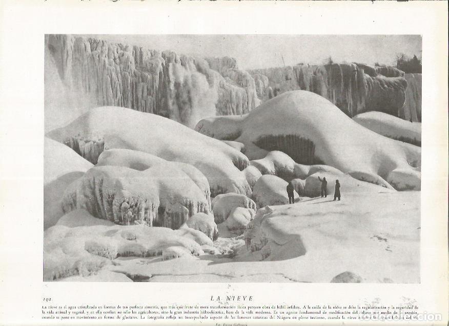 Cartoline: LAMINA 22782: Cataratas del Niagara heladas - Amando Melon y Ruiz de Gordejuela