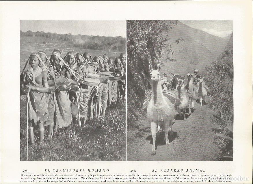 Cartoline: LAMINA 22897: Tribu Kikuyo de Africa y llamas en los Andes de Peru - Amando Melon y Ruiz de Gordejue