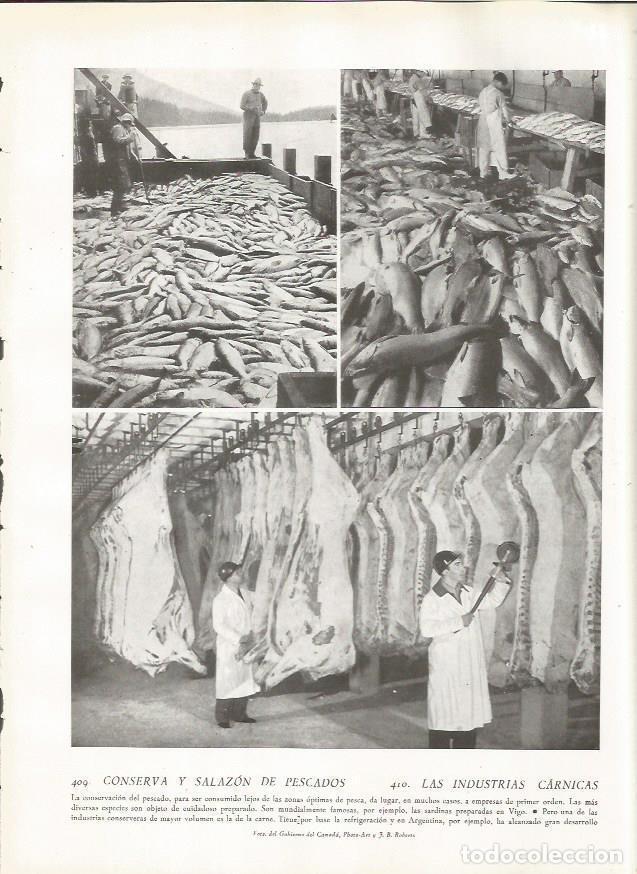 Cartoline: LAMINA 22878: Salazon de pescado en Vigo - Amando Melon y Ruiz de Gordejuela