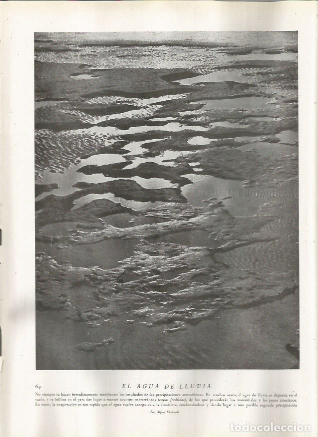 Postcards: LAMINA 22768: Agua de lluvia - Amando Melon y Ruiz de Gordejuela