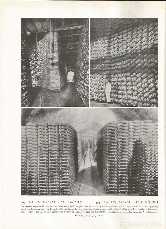Postcards: LAMINA 22876: Cava Codorniu en Sant Sadurni d'Anoia, Barcelona - Amando Melon y Ruiz de Gordejuela