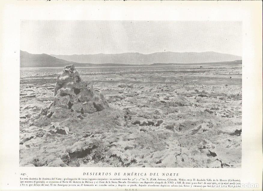 Postcards: LAMINA 22830: Desiertos de America del Norte - Amando Melon y Ruiz de Gordejuela