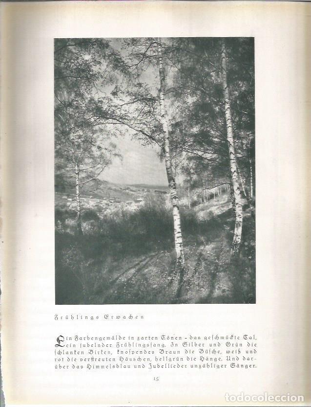 Postcards: LAMINA 22642: Fruhlingserwachen, Alemania - Kurt Herwath