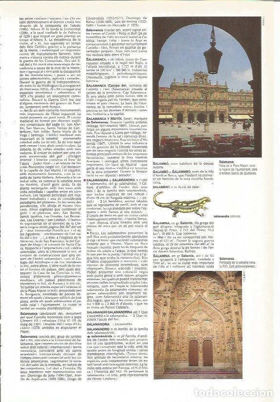 Cartes Postales: LAMINA 24377: Plaza Mayor de Salamanca - VVAA