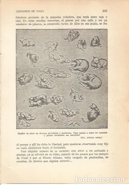 Postcards: LAMINA 24193: Dise&ntilde;os de gatos, por Leonardo da Vinci - Carmi&ntilde;a Verdejo